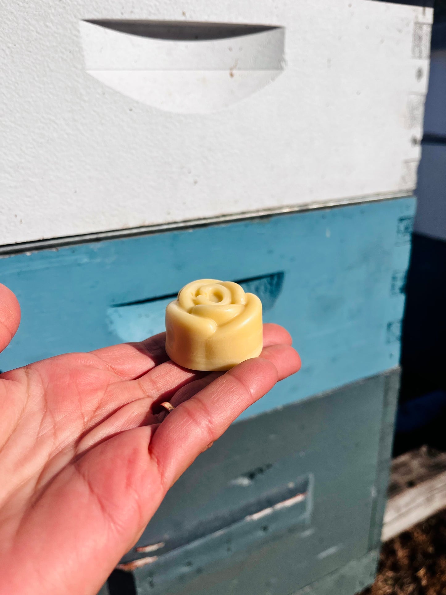 Hand holding a small yellow object in front of a beehive.