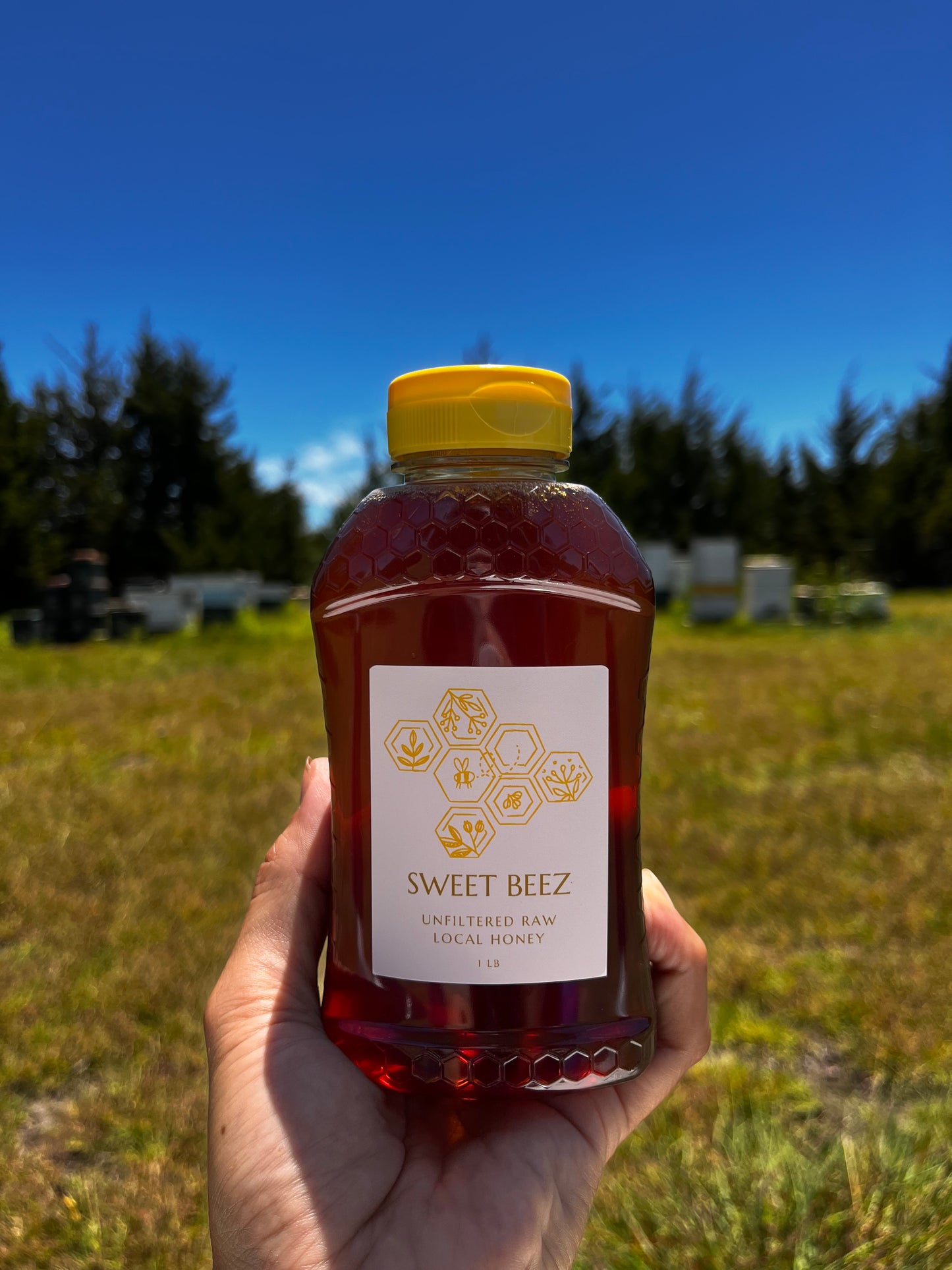 Raw Local Texas Honey 1 lb.