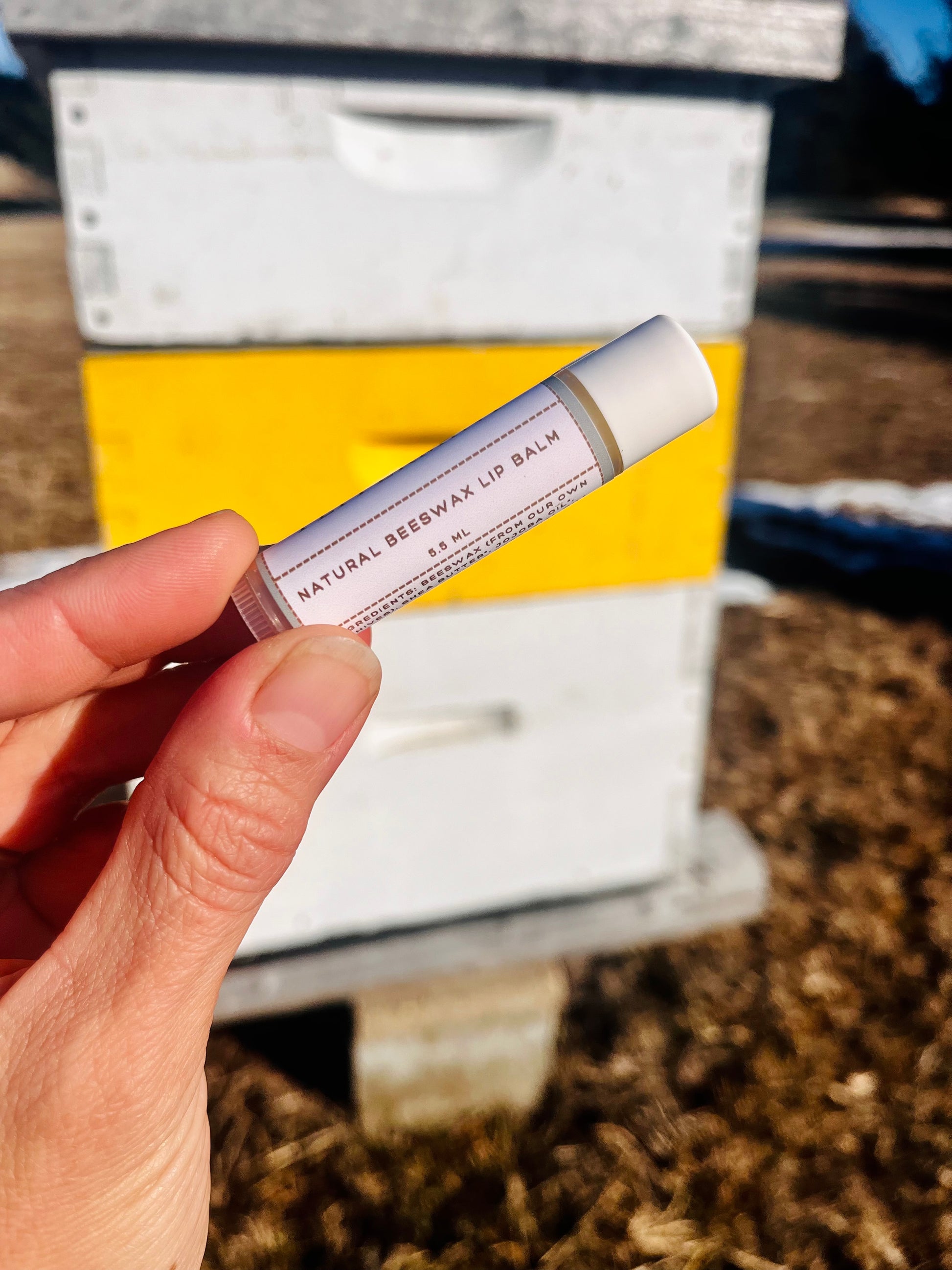 Hand holding a tube of natural beeswax lip balm in front of a beehive.