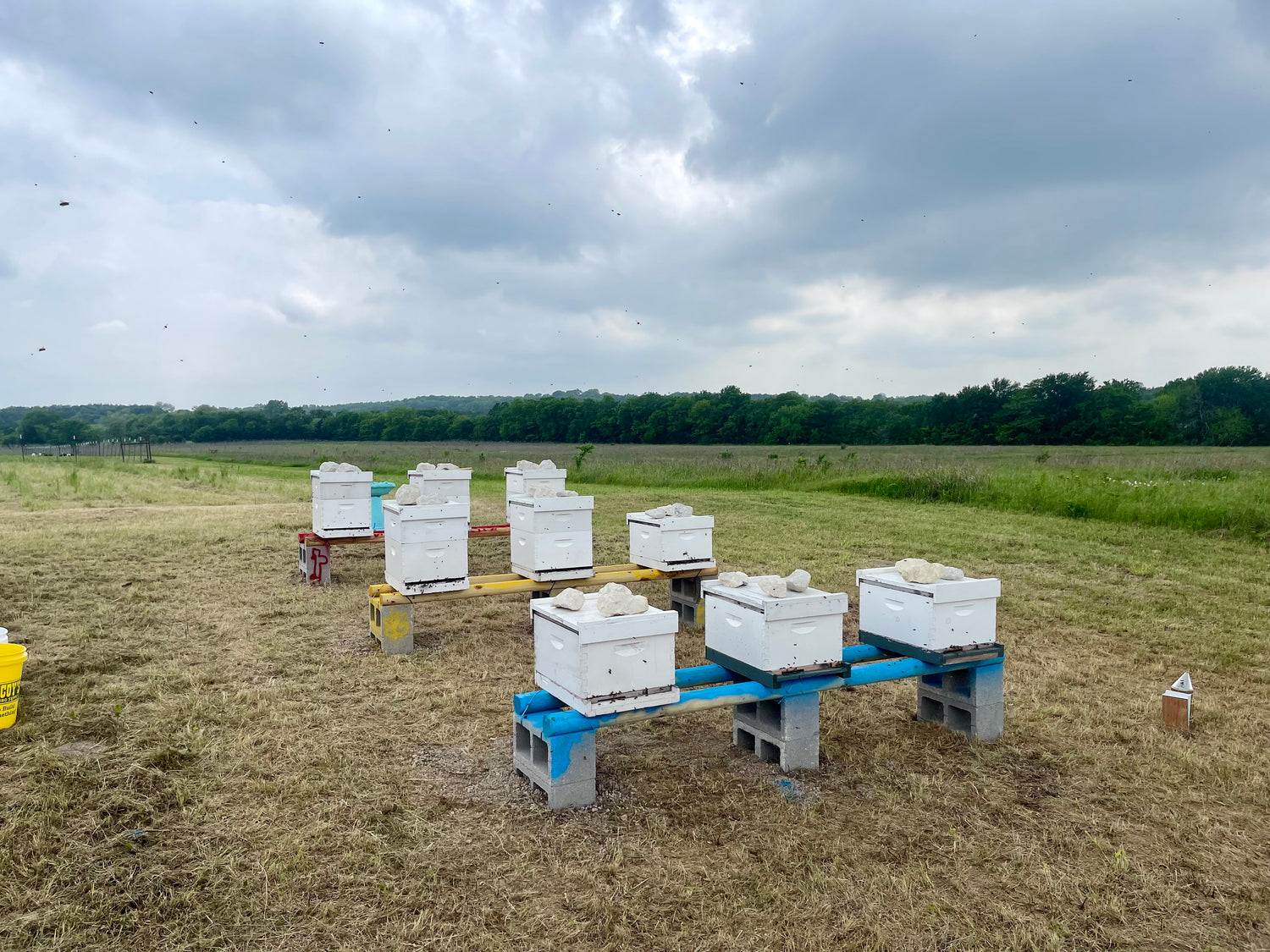 Hive boxes on stands in a field under a cloudy sky